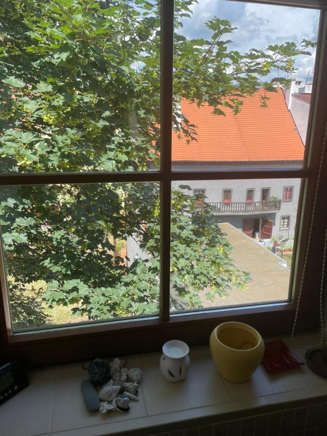 Charlie Apartman Cheb Kültér fotó