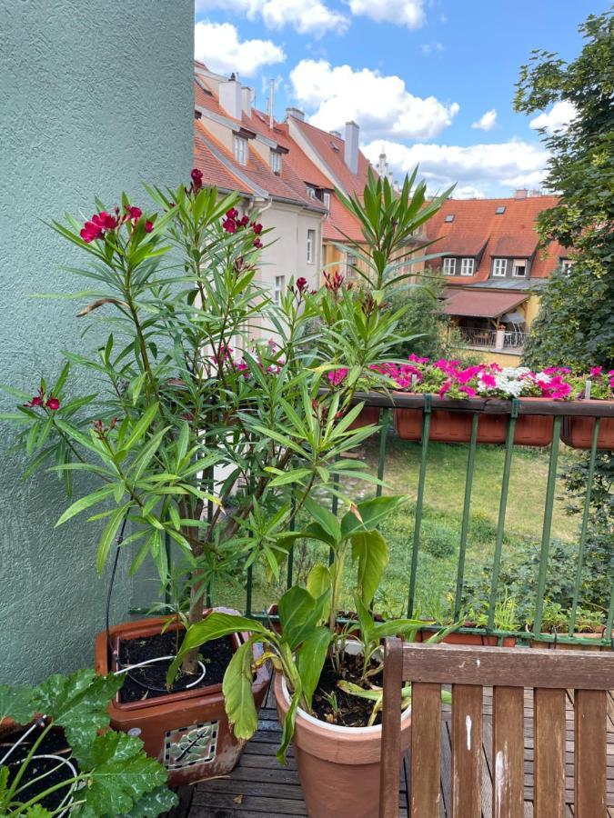 Charlie Apartman Cheb Kültér fotó