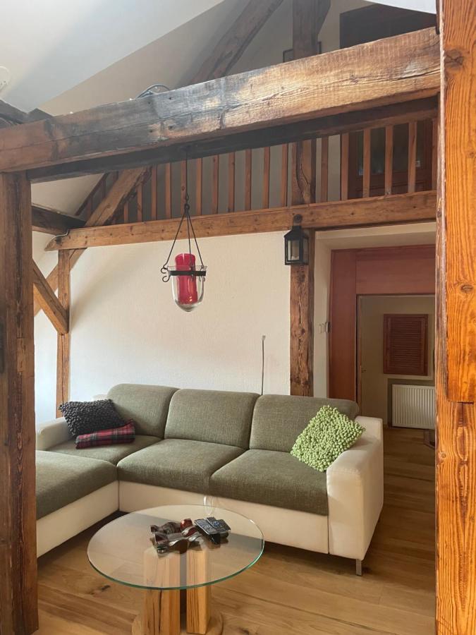 Charlie Apartman Cheb Kültér fotó