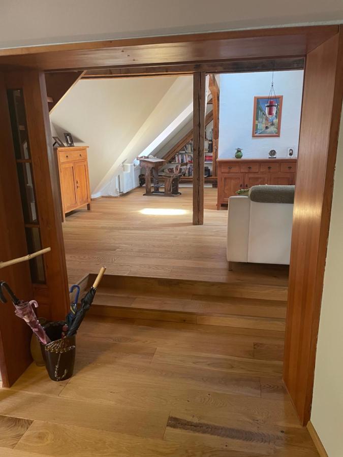 Charlie Apartman Cheb Kültér fotó